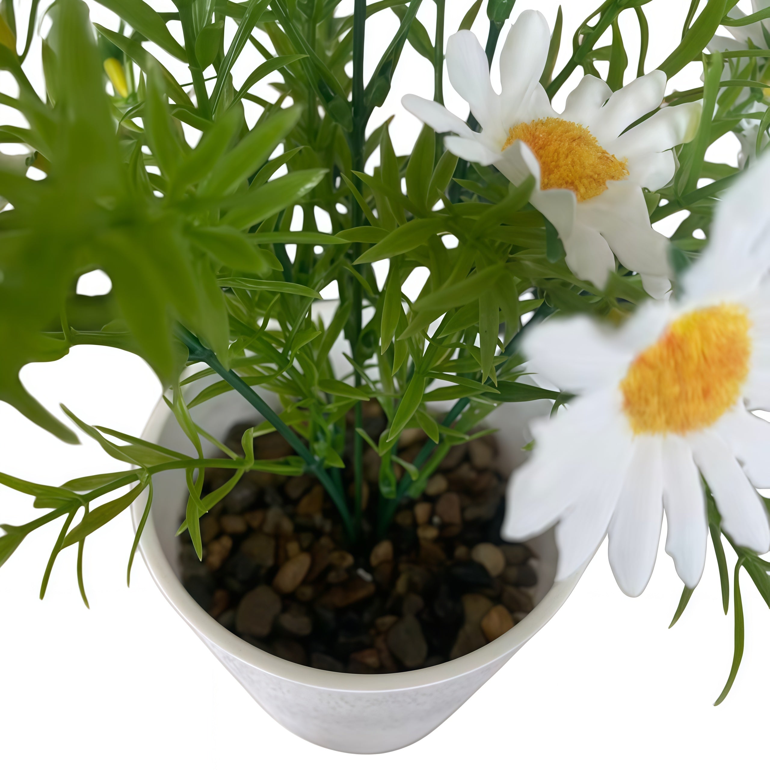 仿真绿植雏菊带盆栽家居花园装饰盆栽