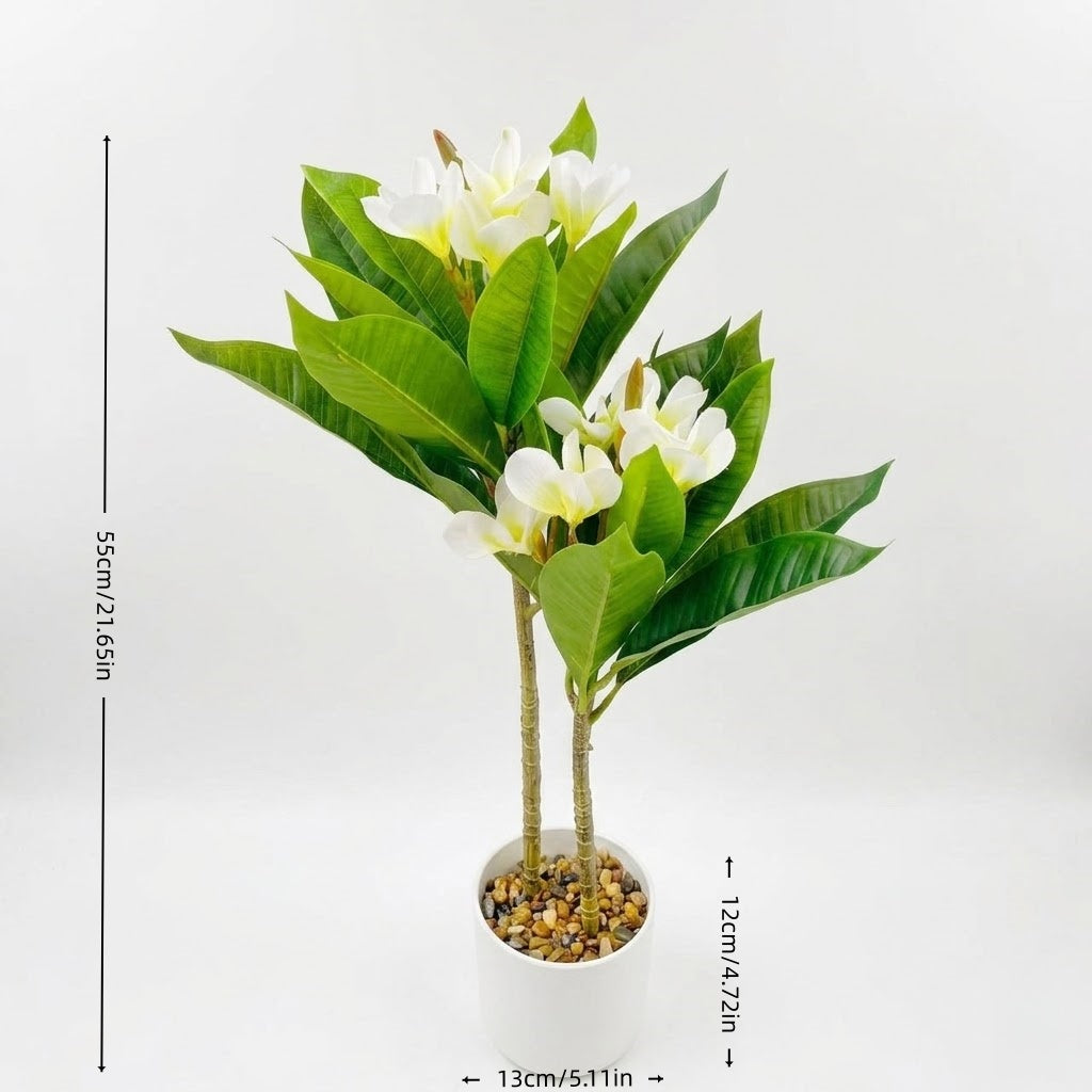 仿真鸡蛋花树盆栽